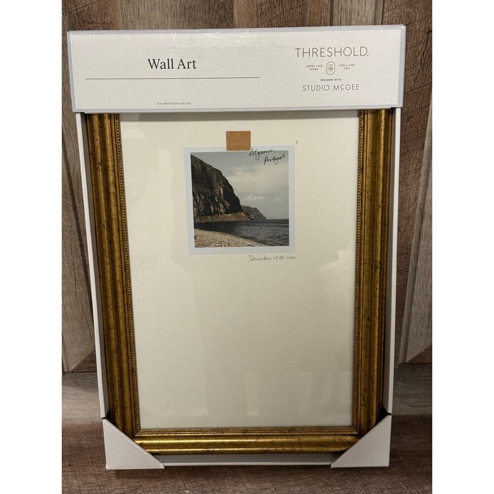 Threshold Studio McGee 12x18 Travel Photo Gold Framed Wall Art -